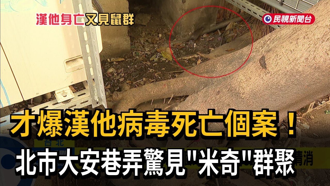 才爆漢他病毒死亡個案！ 北市大安巷弄驚見「米奇」群聚－民視新聞