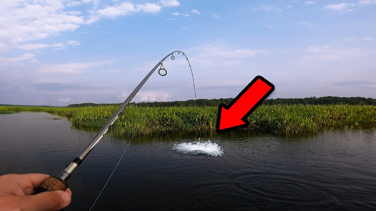 Cooper River Bass Tournament | Working Mans Tournament 2023