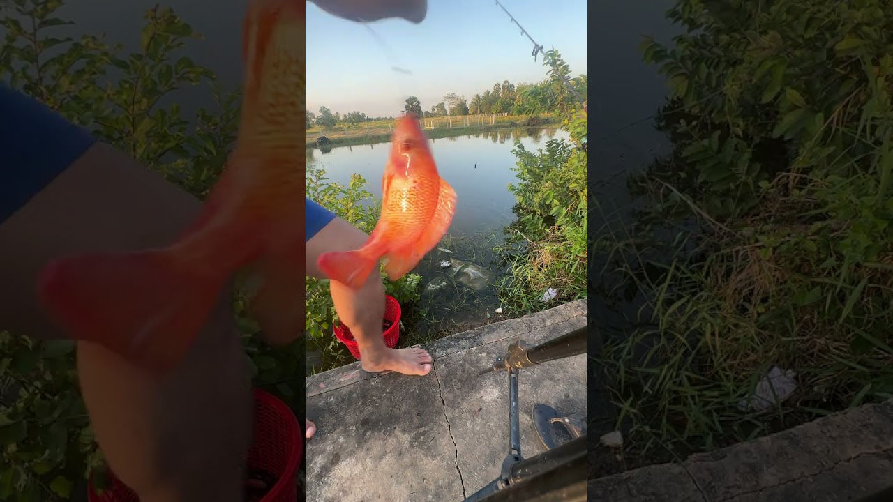 Рыбалка в сельской местности | Отдых вдали от социальных сетей
