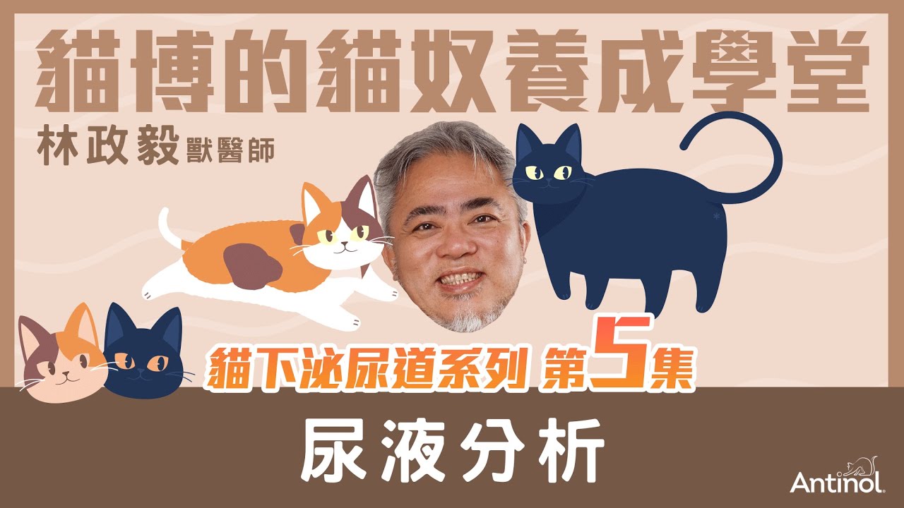 貓下泌尿道系列_第5集｜尿液分析｜貓博的貓奴學堂