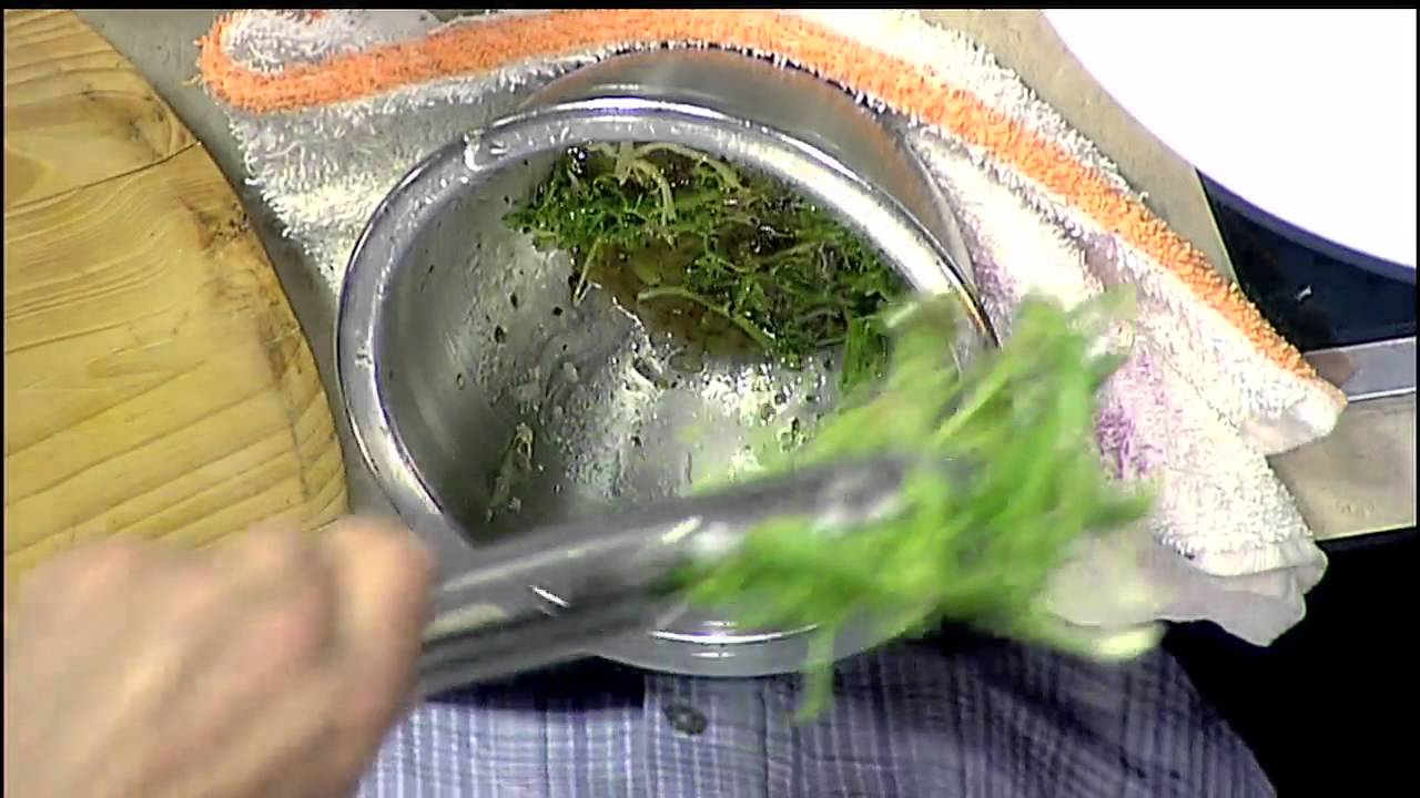 Chef Judi - Chef Paul Mattison