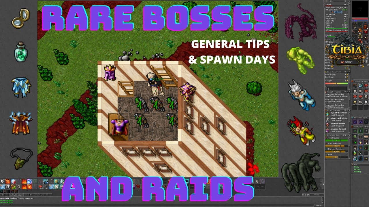 Rare bosses and raids in Tibia [PL/ENG]