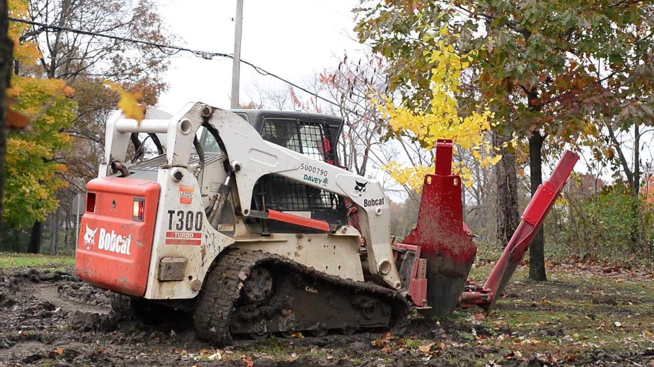 How to Transplant a Tree with a Tree Spade