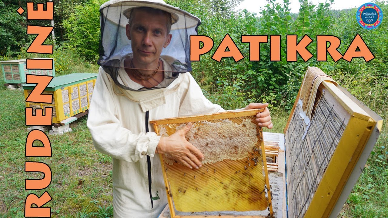 Rudeninė bičių patikra