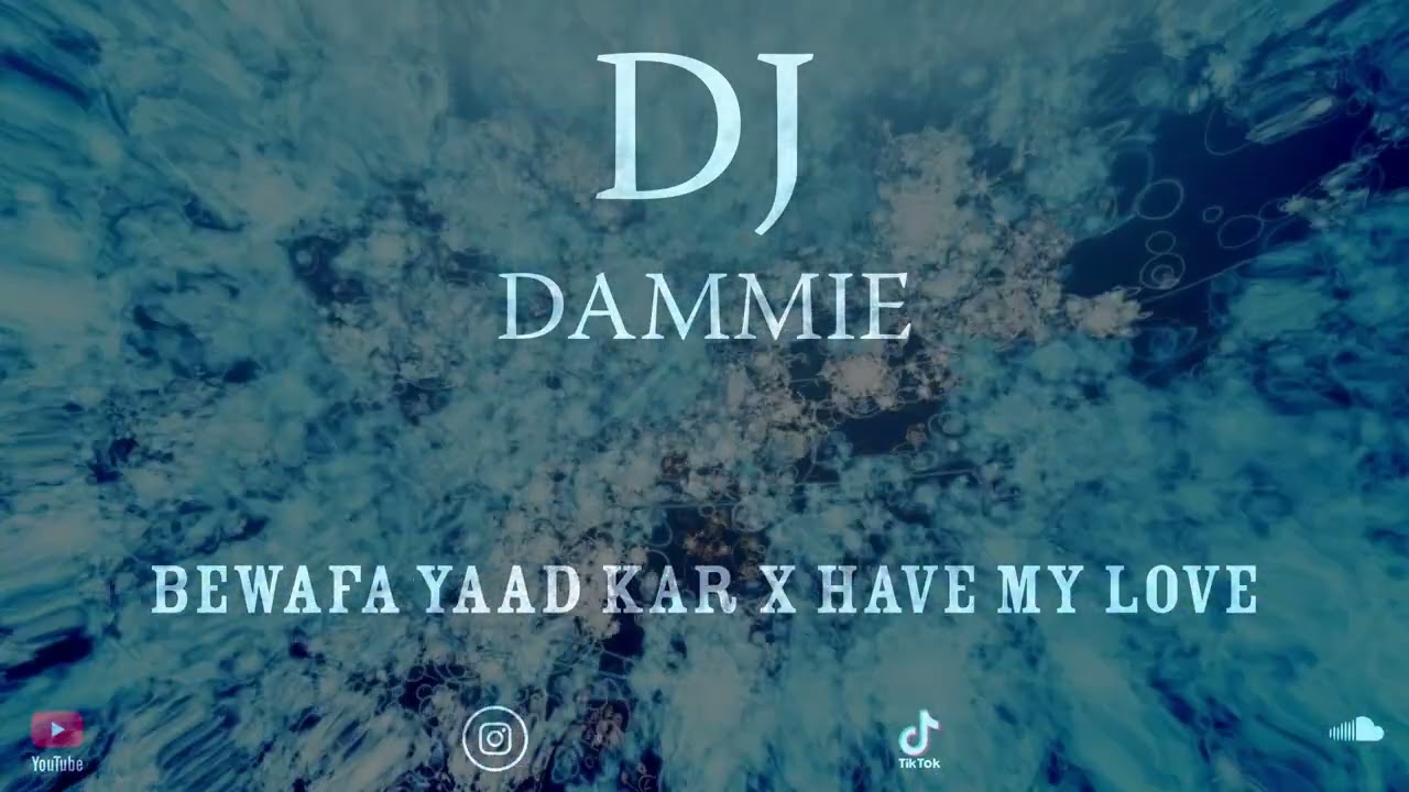 Bewafa Yaad Kar x Have My Love | Naseebo Lal | DJ Dammie | 2025 Remix | Punjabi Remix | House Remix