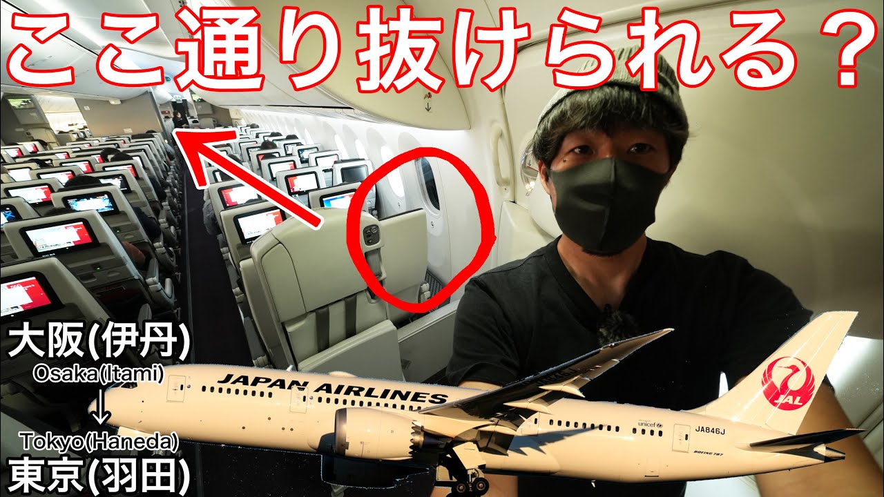 日本航空の国内線専用B787の最後列は神座席？大阪(伊丹)&rarr;東京(羽田)
