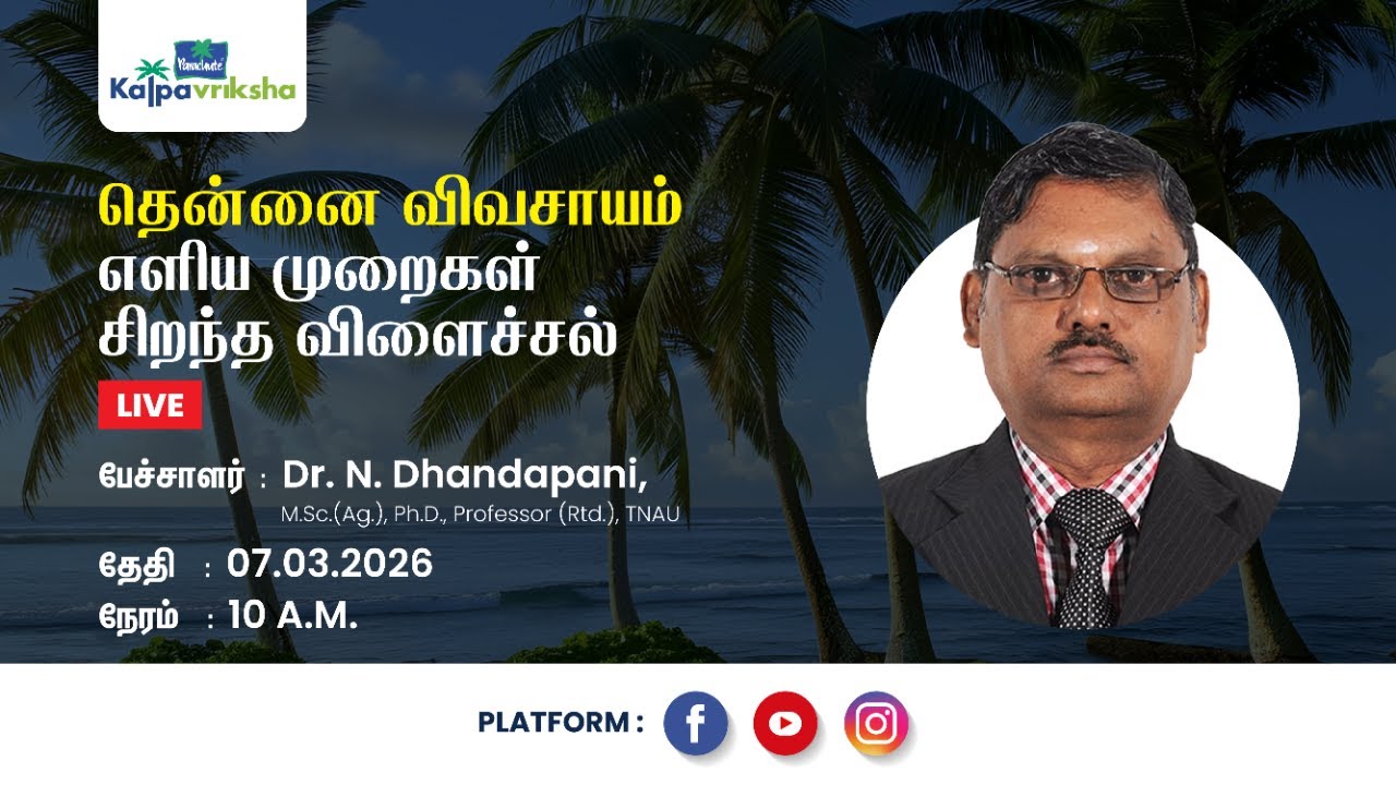 தென்னை விவசாயம் – எளிய முறைகள், சிறந்த விளைச்சல்