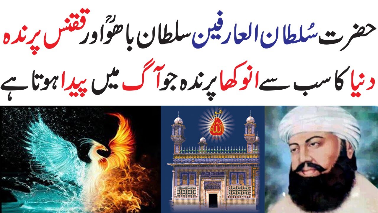 Hazrat Sultan Bahoo and Phoenix or Fire Bird |  What is Phoenix or Fire Bird in Urdu | Sultan Bahoo