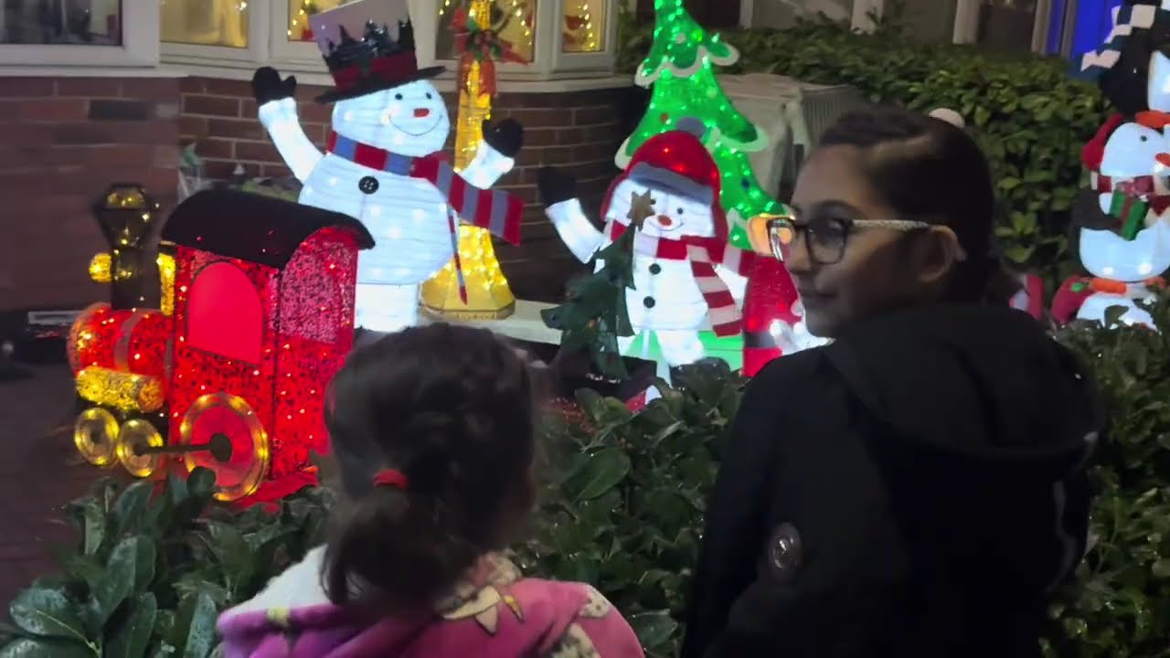 Chestnut Drive, Sale Charity Christmas Lights 