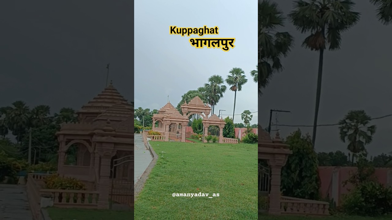 Kuppa Ghat Bhagalpur ❤️ #shorts #kuppaghat #bhagalpur #amanyadav #travel
