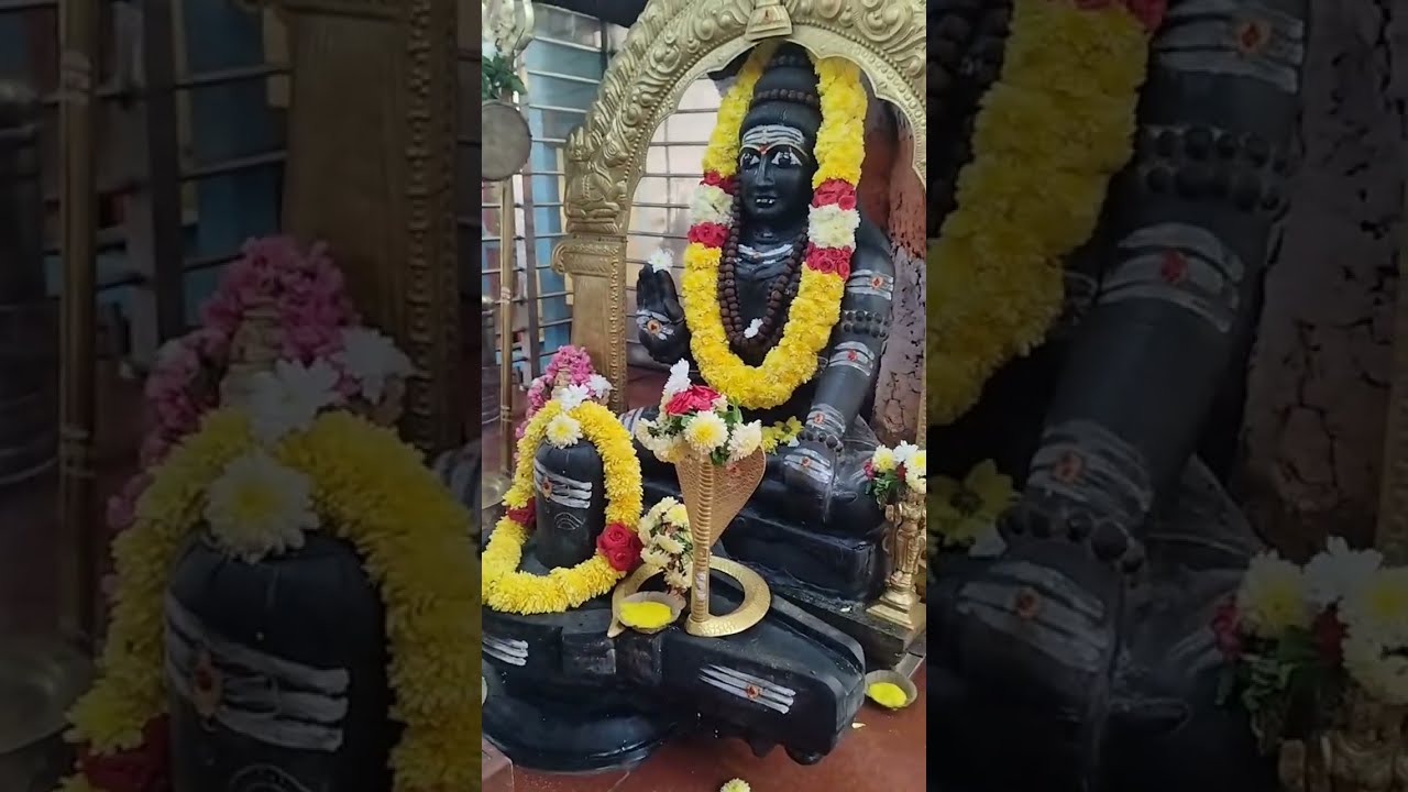 Sri Naga Lingeshwara Swamy Rudra Abhishekam Live Puja 🕉  🙏✨ | Maha Mangala Aarti 🙏✨#shiva #mahadev