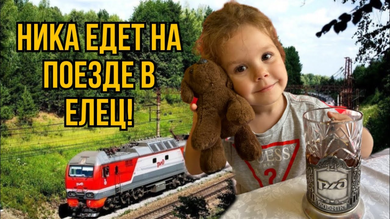 Мы с Никой едем в Елец!Встреча с бабушкой и дедушкой!