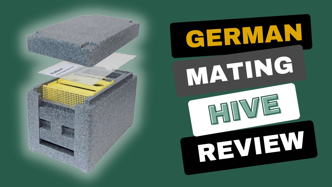 Abelo German Mini Mating Hive Review