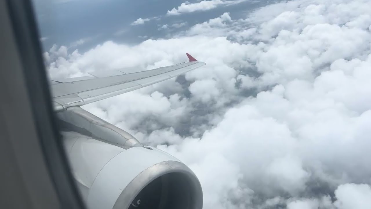 🇧🇷 Pousando em São Paulo Congonhas pela manhã na 17R vindo de Moema com Latam A320