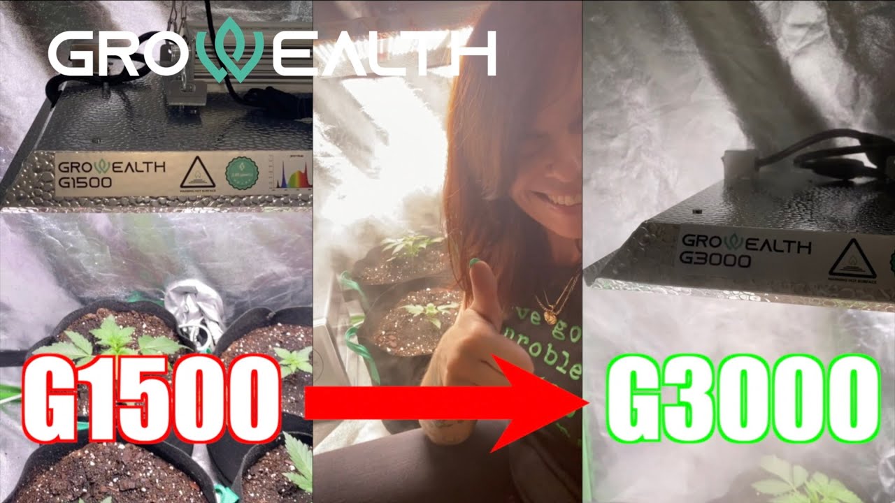 Growealth LED Grow Light Upgrades. From G1500 (150w) to G3000 (300w)