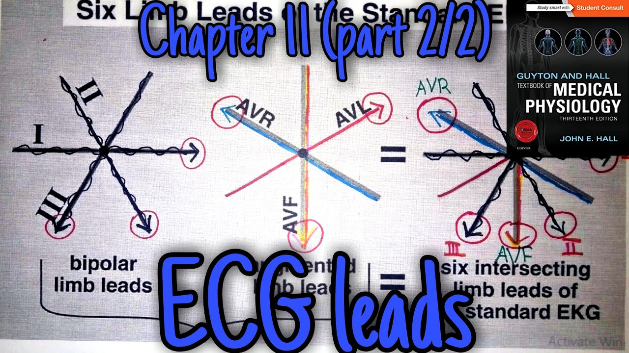 ECG leads - Chapter 11 (part 2/2) - Guyton and Hall text book of medical physiology.