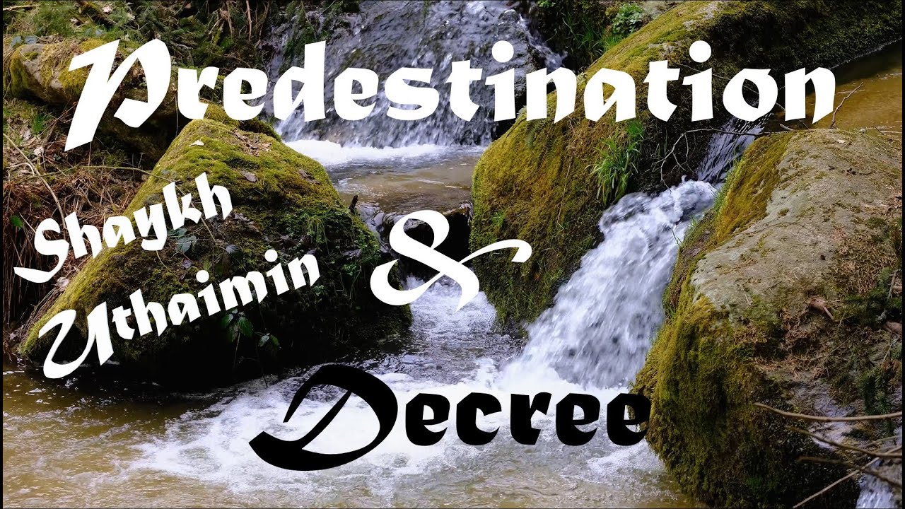 Shaykh Uthaymin - Difference Between Predestination and Decree!
