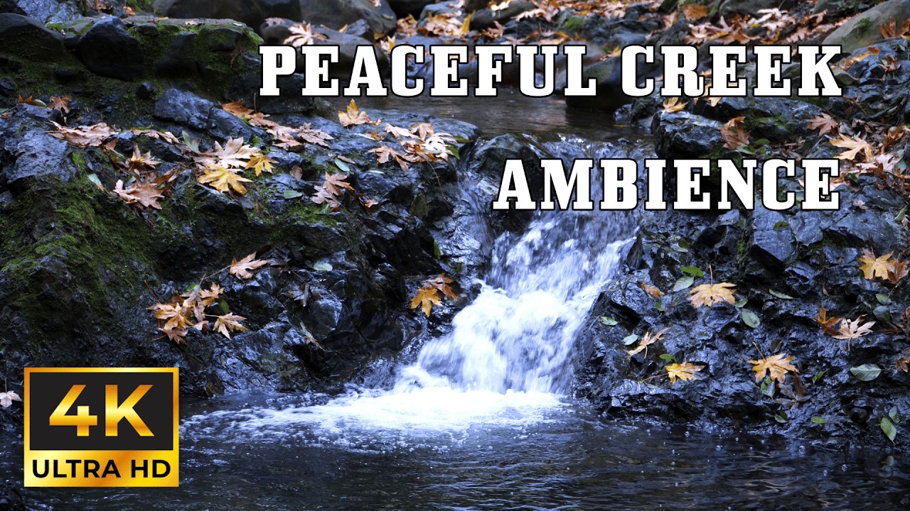 Peaceful Creek Ambience | Peaceful Nature Ambience for Sleep, Study & Stress Relief 🌿💧