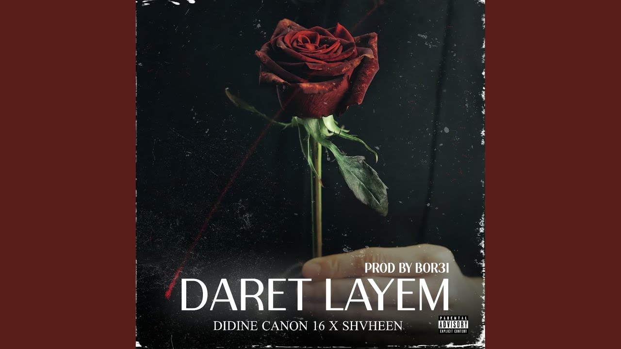 Didine canon 16 x Shvheen (Daret Layem)