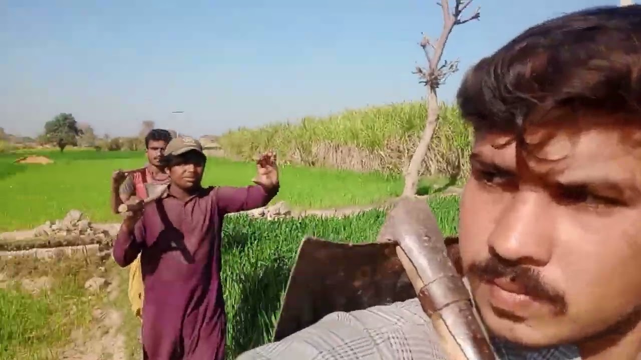 Jaam tractor 🚜🚜 official Pakistani village life channel subscribe Karen 