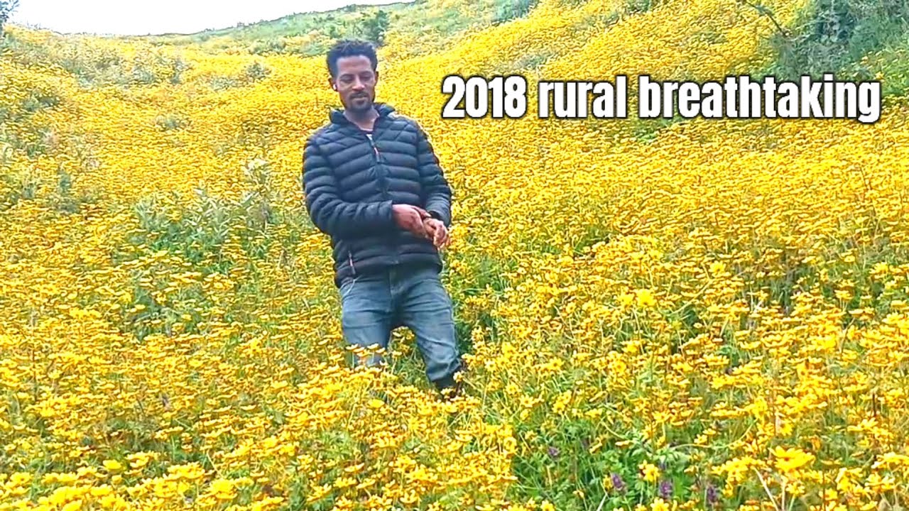 Hiking to ciba, the mountain of Ethiopian runners, for 2 hr and breathtaking 