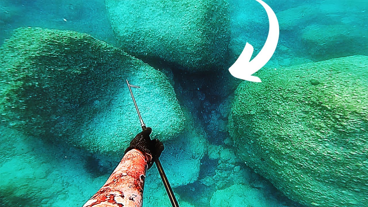 Pole Spear HUNTING BIG Grouper!