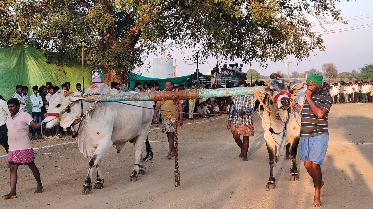 మామిళ్ళపల్లి సీనియర్స్ | 5జత మోతుకపాటి రామసుబ్బారెడ్డి గారు