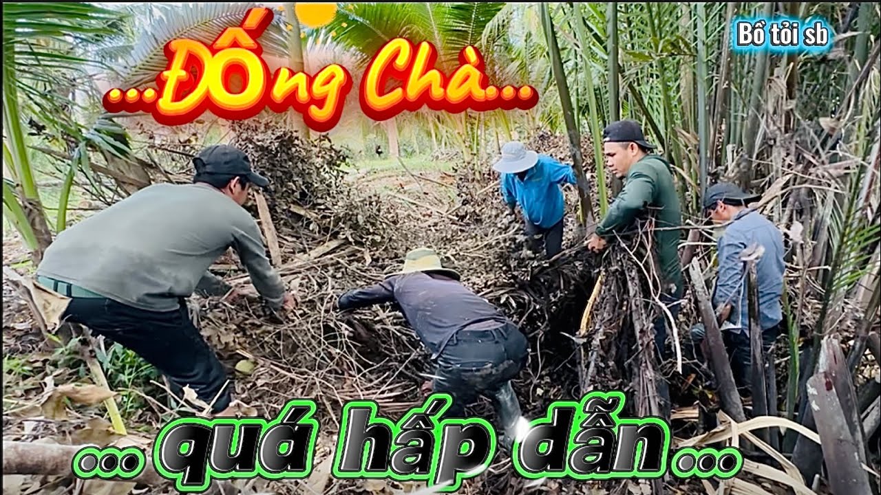 Cả team Náo Loạn vây Bắt theo Đống Chà quá hấp dẫn……/Bồ tỏi sb 