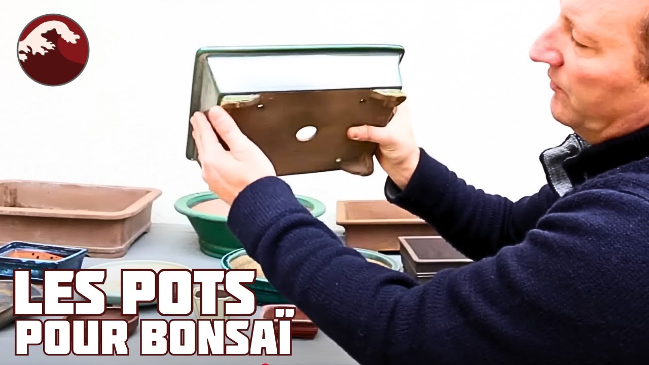 Comment choisir un pot à bonsaï : guide complet pour sublimer votre arbre 🌱 NEJIKAN BONSAI 🌱