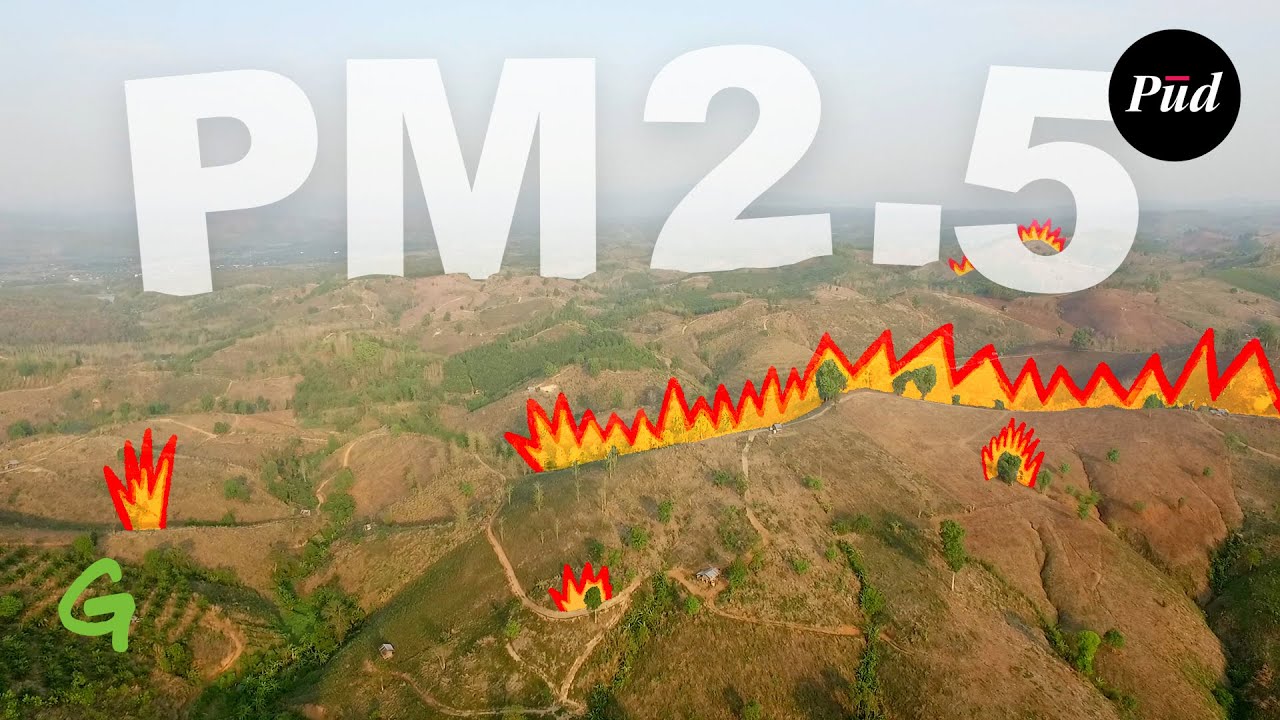 ปัญหาเผาไร่ และฝุ่น PM 2.5: ความผิดเกษตรกรจริงรึเปล่า?