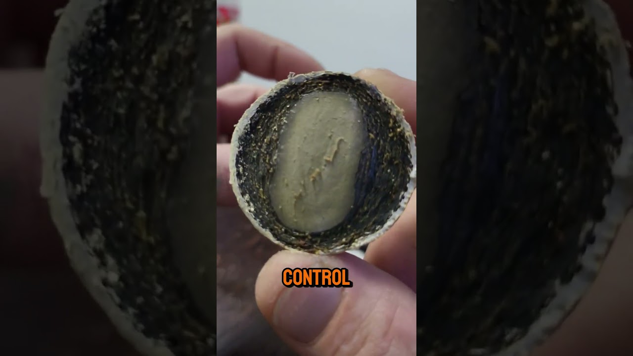 The Evolution of The Golf Ball ⛳🏌️ #golf #golfball