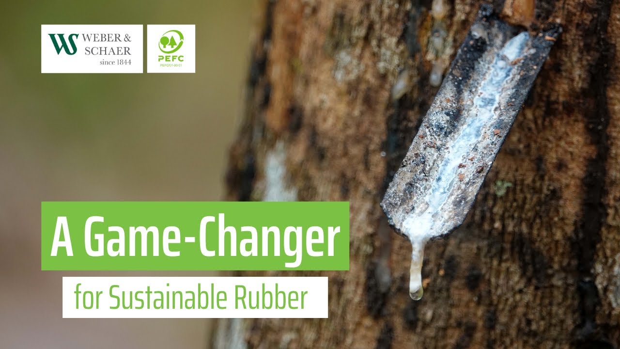 A Game-Changer for Sustainable Rubber