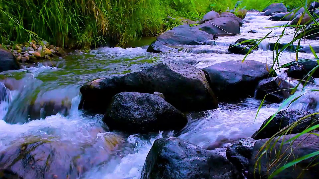 Mountain River Flowing Water Sounds for Focus and Study, Natural White Noise Ambience