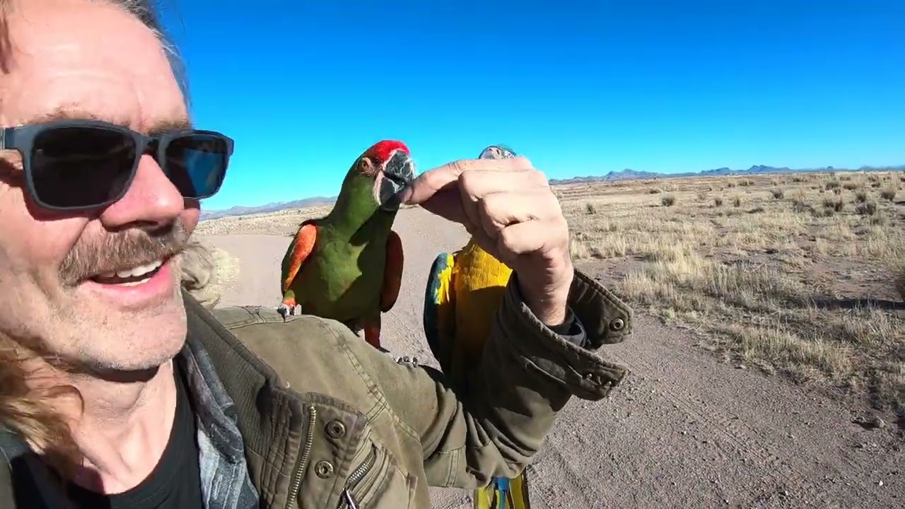 Rudy joins Bonkers and the Babies Jewel and Gem flying with the motorcycle