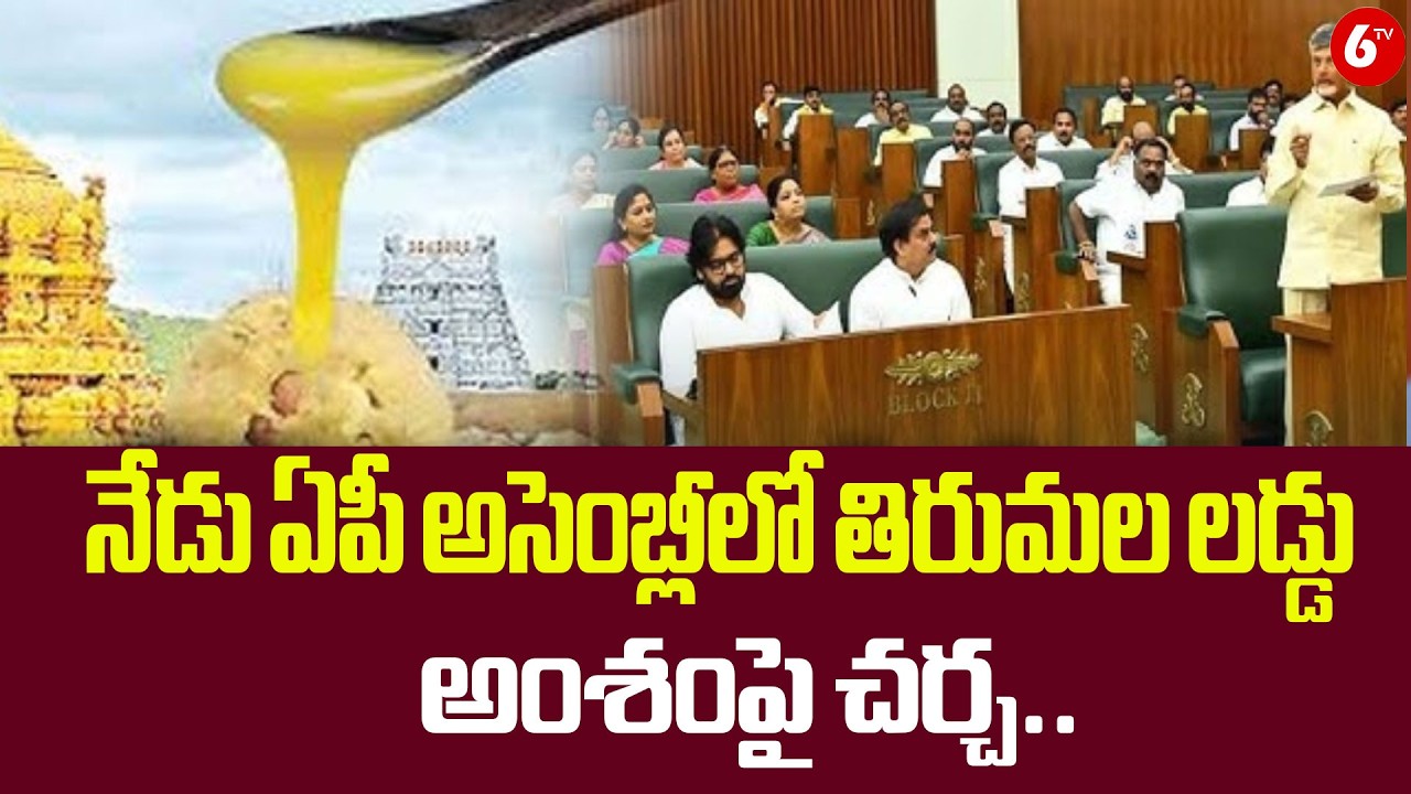నేడు అసెంబ్లీలో తిరుమల లడ్డు అంశంపై చర్చ | Tirumala Laddu Issue to Be Discussed in AP Assembly Today