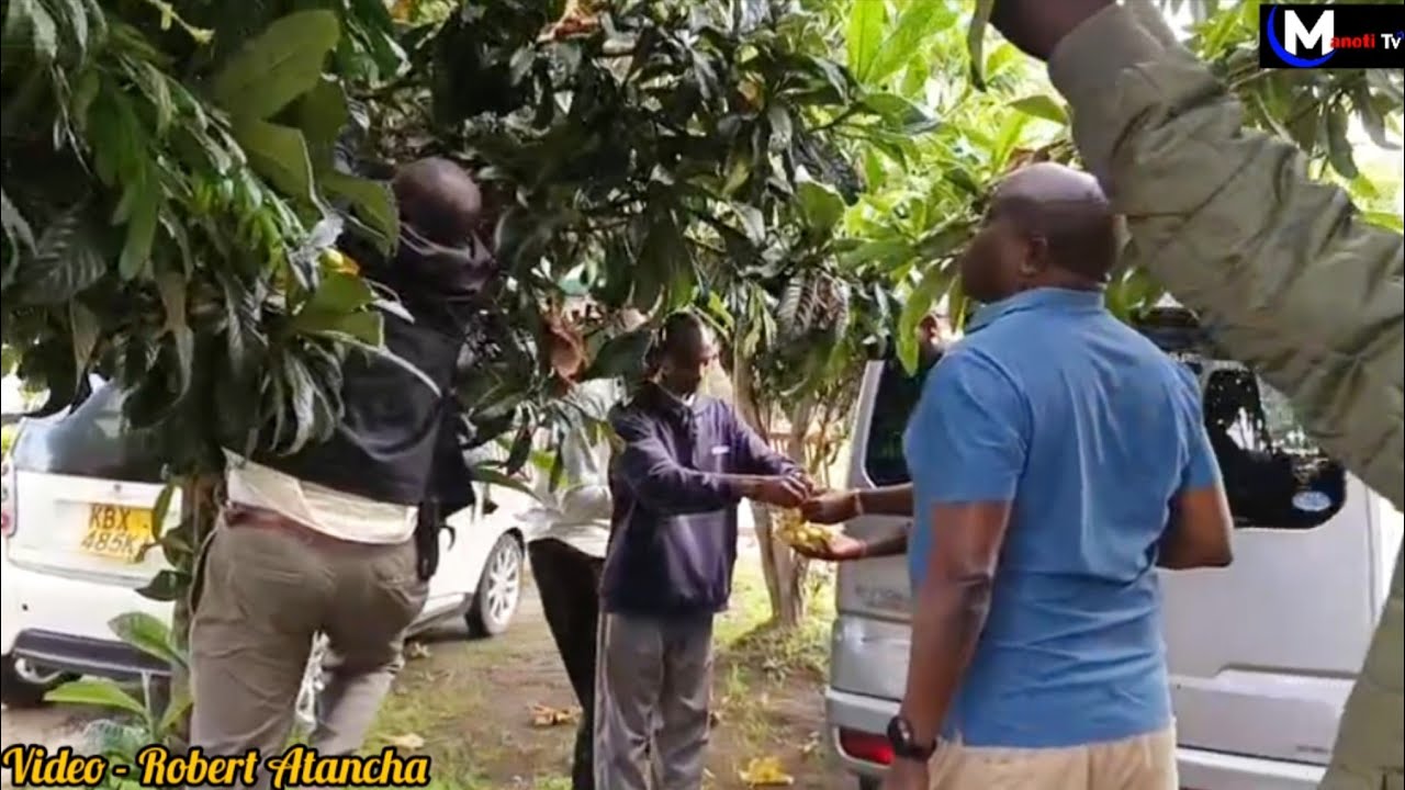 Meet MP Samuel Arama inside his own compound full of most expensive cars & fruit trees 🔥