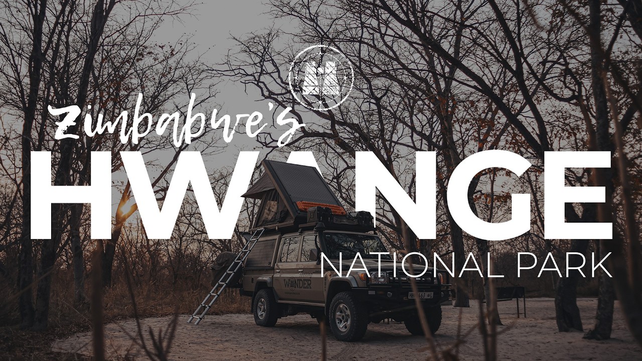 Hwange National Park, Zimbabwe / 2025