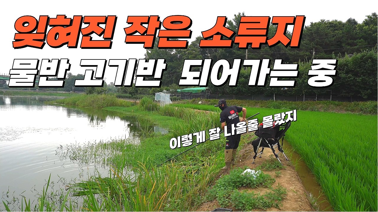 이 작은 저수지에 붕어가 드글드글// 옥수수미끼에 차대고 1보는 못참지#fishing