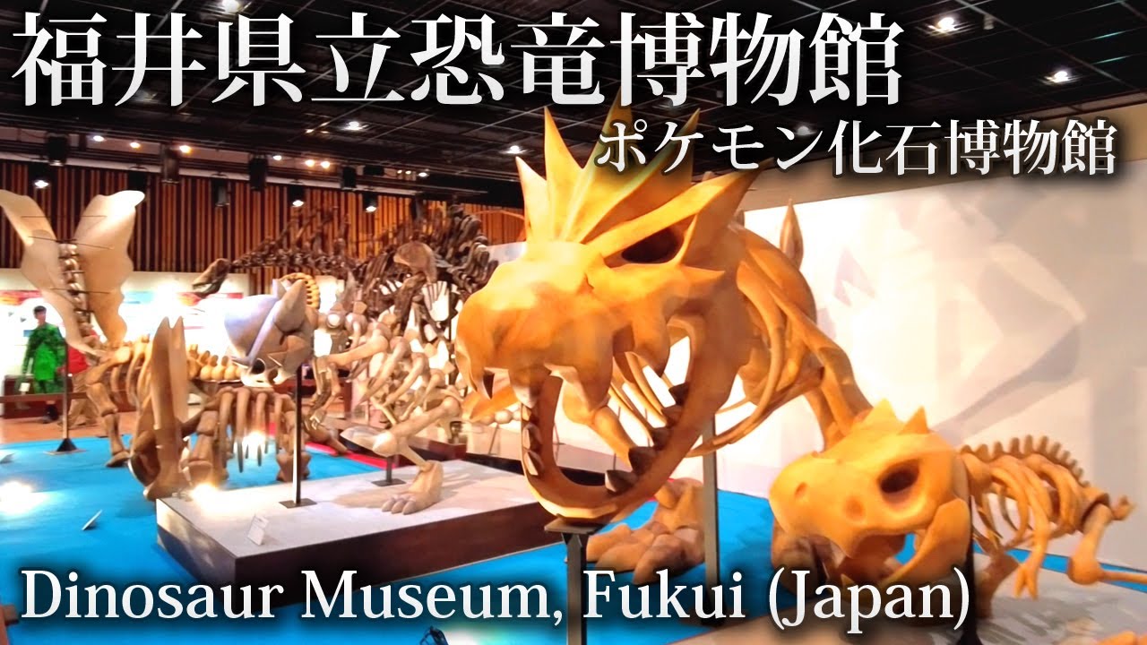 福井恐竜博物館 ポケモン化石博物館 / Fukui  Dinosaur Museum, Pokémon Fossil Museum(Japan)
