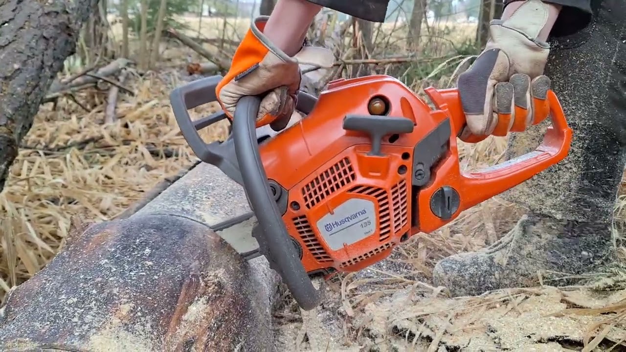 CHAINSAW HUSQVARNA 135 MARK2 #CUTTINGTREE 