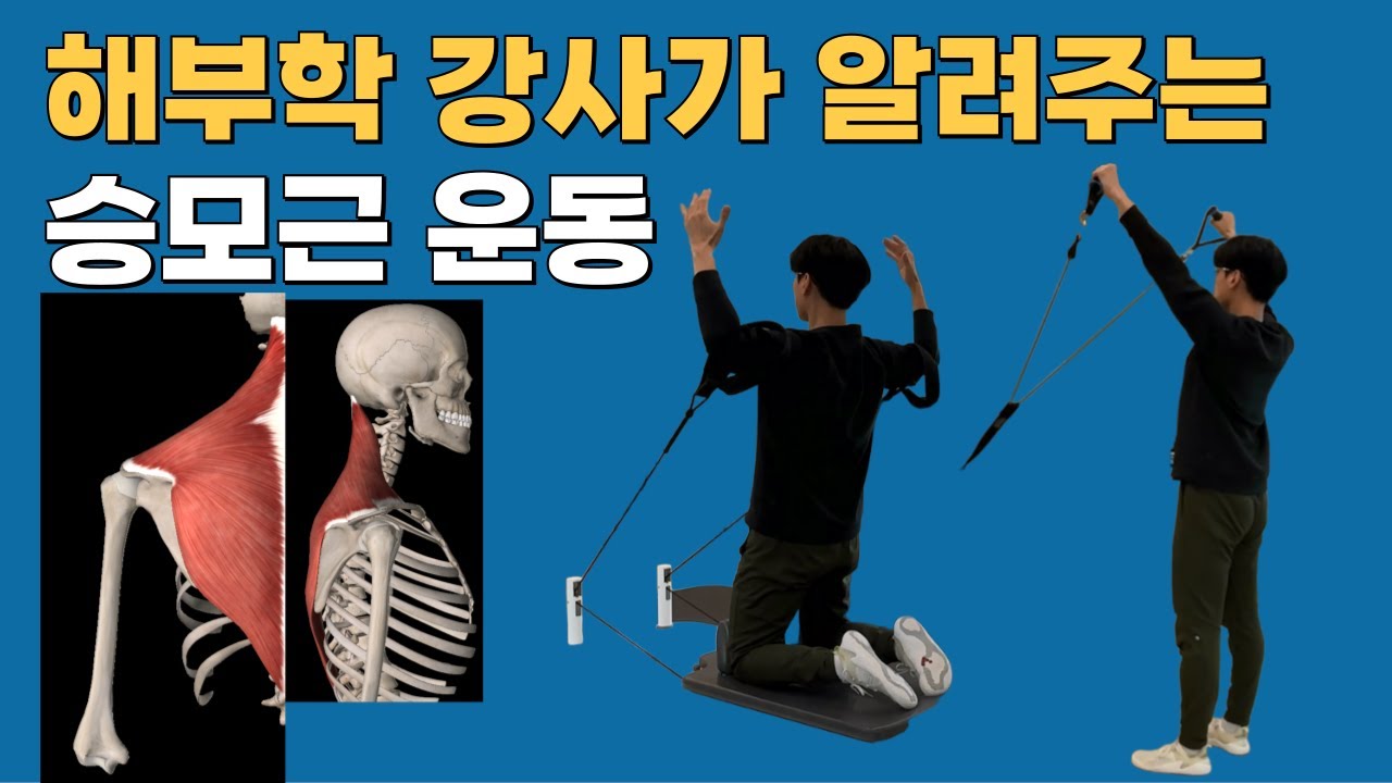 승모근의 올바른 운동법 - 해부학 일타강사가 알려주는 제대로된 운동!