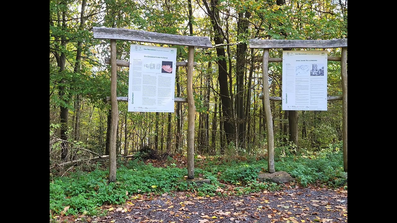 Heidelberg/Heiligenberg/Handschuhsheim 22.10.22