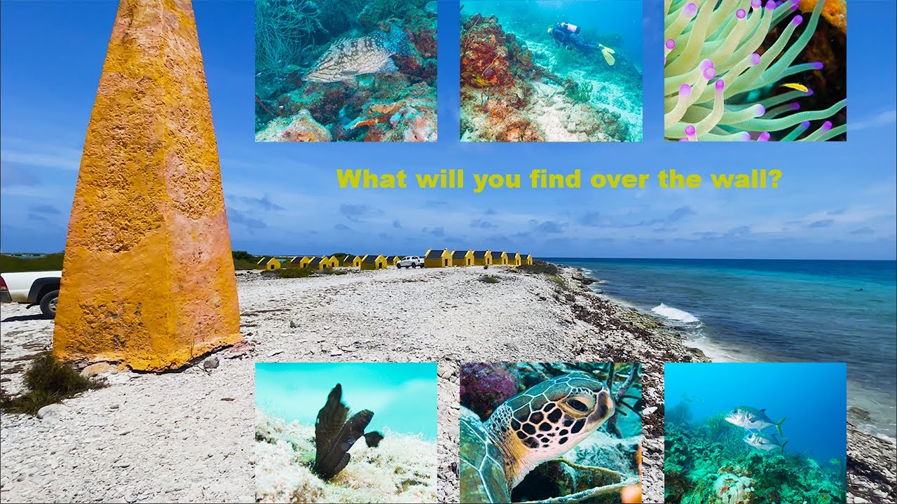 Over The Wall - Bonaire's Red Slave ep. 41