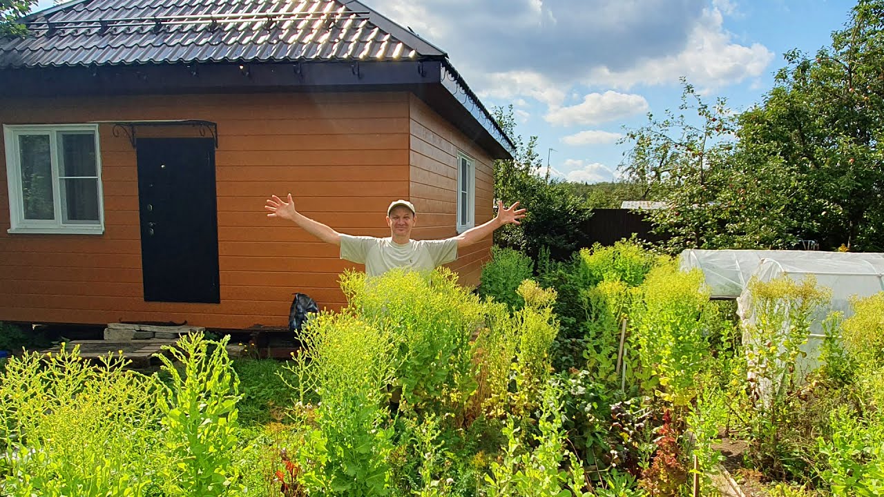 What Is at Dacha (Village) After 2 Weeks of Our Absence ??? Different Russia