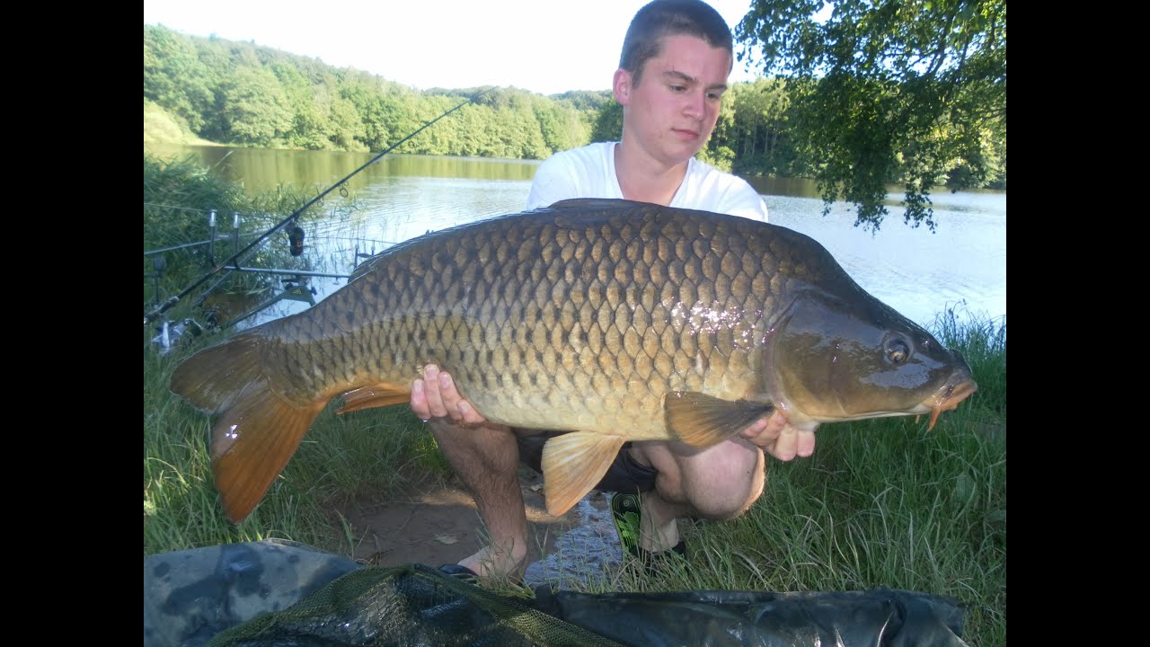 Session Carpe Bouzey ! HD