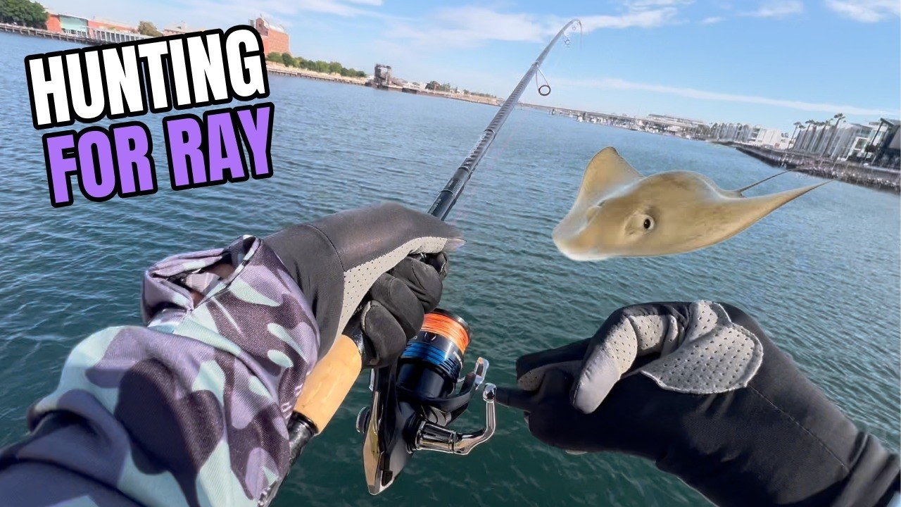 Adelaide Ray Fishing | Oaks. Outdoors, episode 1