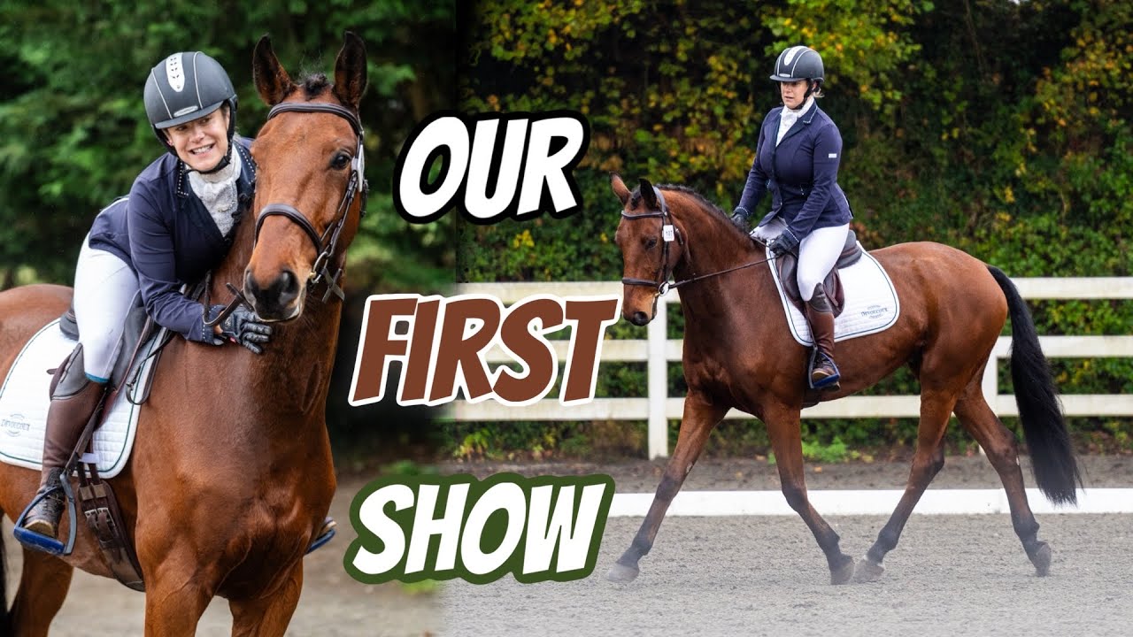 FIRST SHOW on my NEW HORSE Enzo