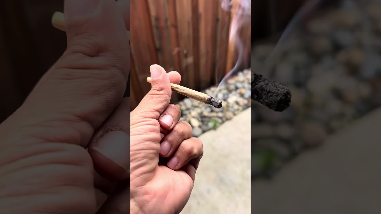 Exotic Genetix - Gary Poppins Line - Smoke Review