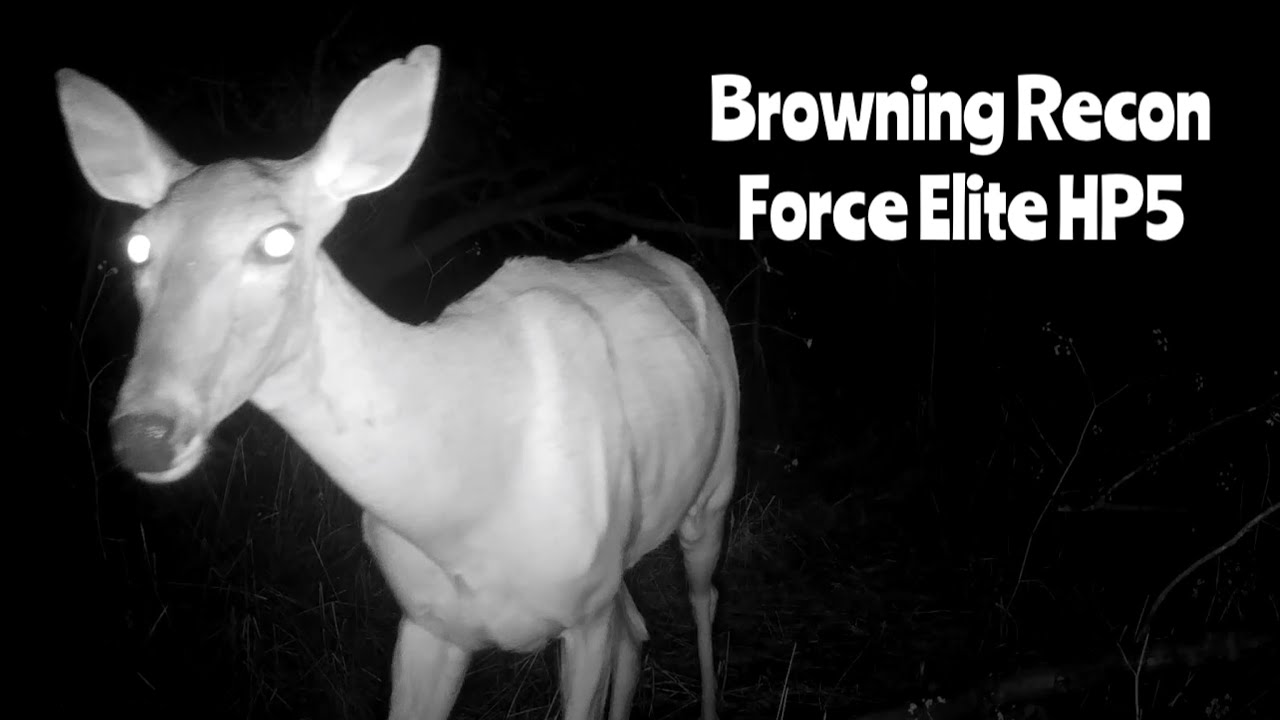 Browning Recon Force Elite HP5 Trail Cam July 1-31, 2025