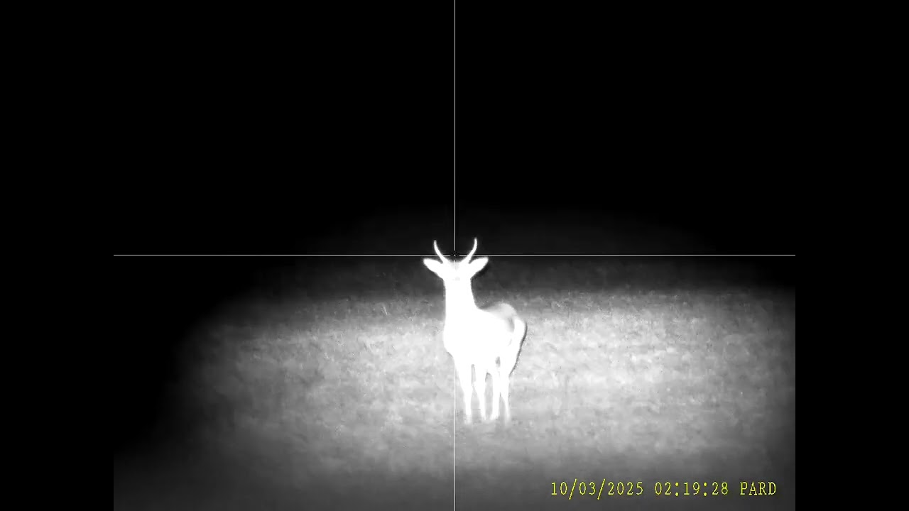 PARD Night Stalker 4K LRF 940nm 5,6x TEST vol.6 | LOVU ZDAR TV